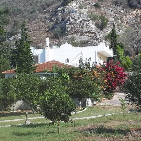 Villa Dunes 350M From The Sandy Beach Kalogria (Achaea) Exterior foto