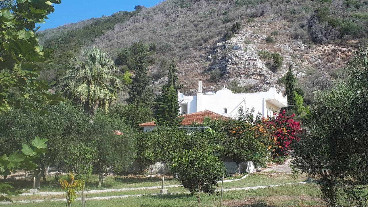 Villa Dunes 350M From The Sandy Beach Kalogria (Achaea) Exterior foto