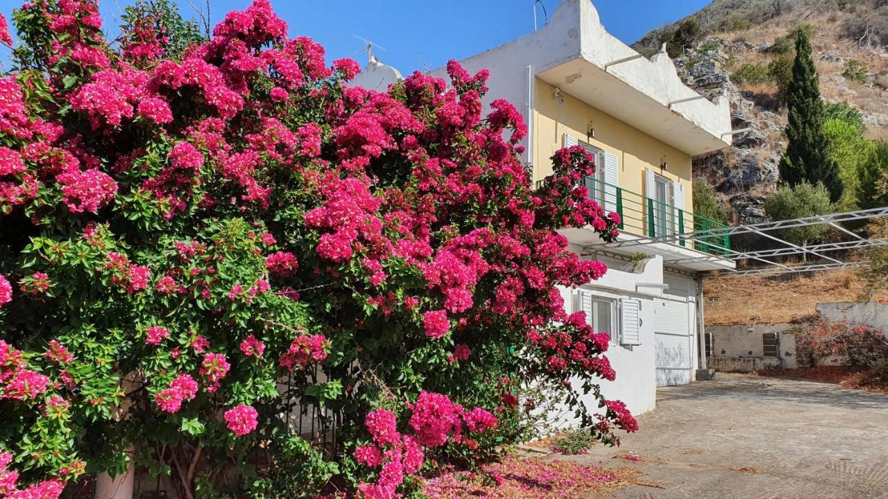 Villa Dunes 350M From The Sandy Beach Kalogria (Achaea) Exterior foto