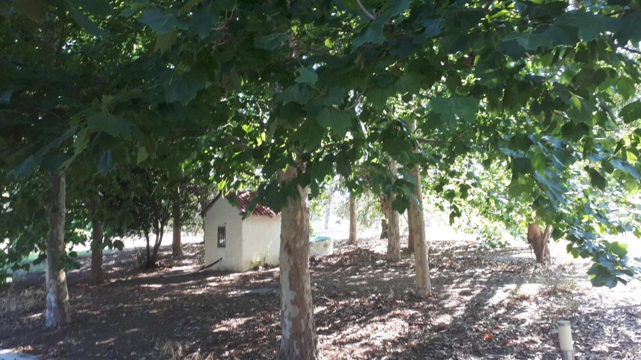 Villa Dunes 350M From The Sandy Beach Kalogria (Achaea) Exterior foto