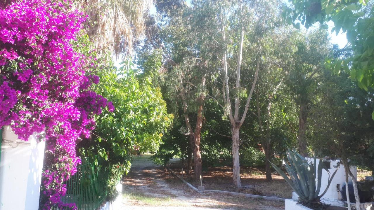 Villa Dunes 350M From The Sandy Beach Kalogria (Achaea) Exterior foto