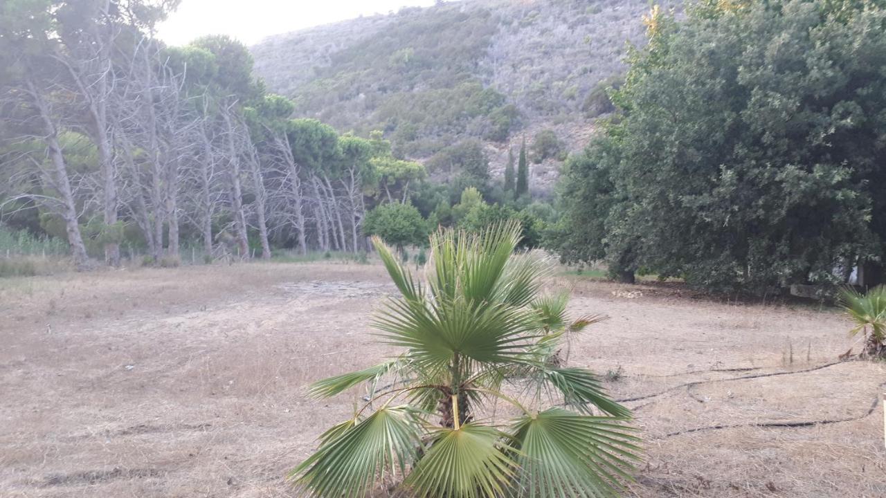 Villa Dunes 350M From The Sandy Beach Kalogria (Achaea) Exterior foto