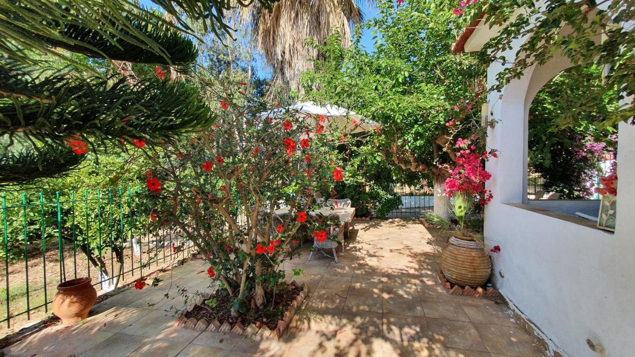 Villa Dunes 350M From The Sandy Beach Kalogria (Achaea) Exterior foto