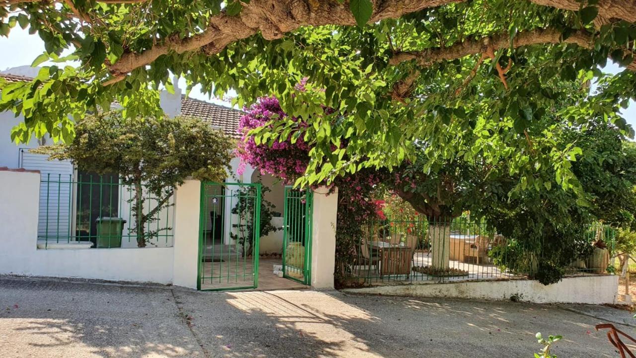 Villa Dunes 350M From The Sandy Beach Kalogria (Achaea) Exterior foto