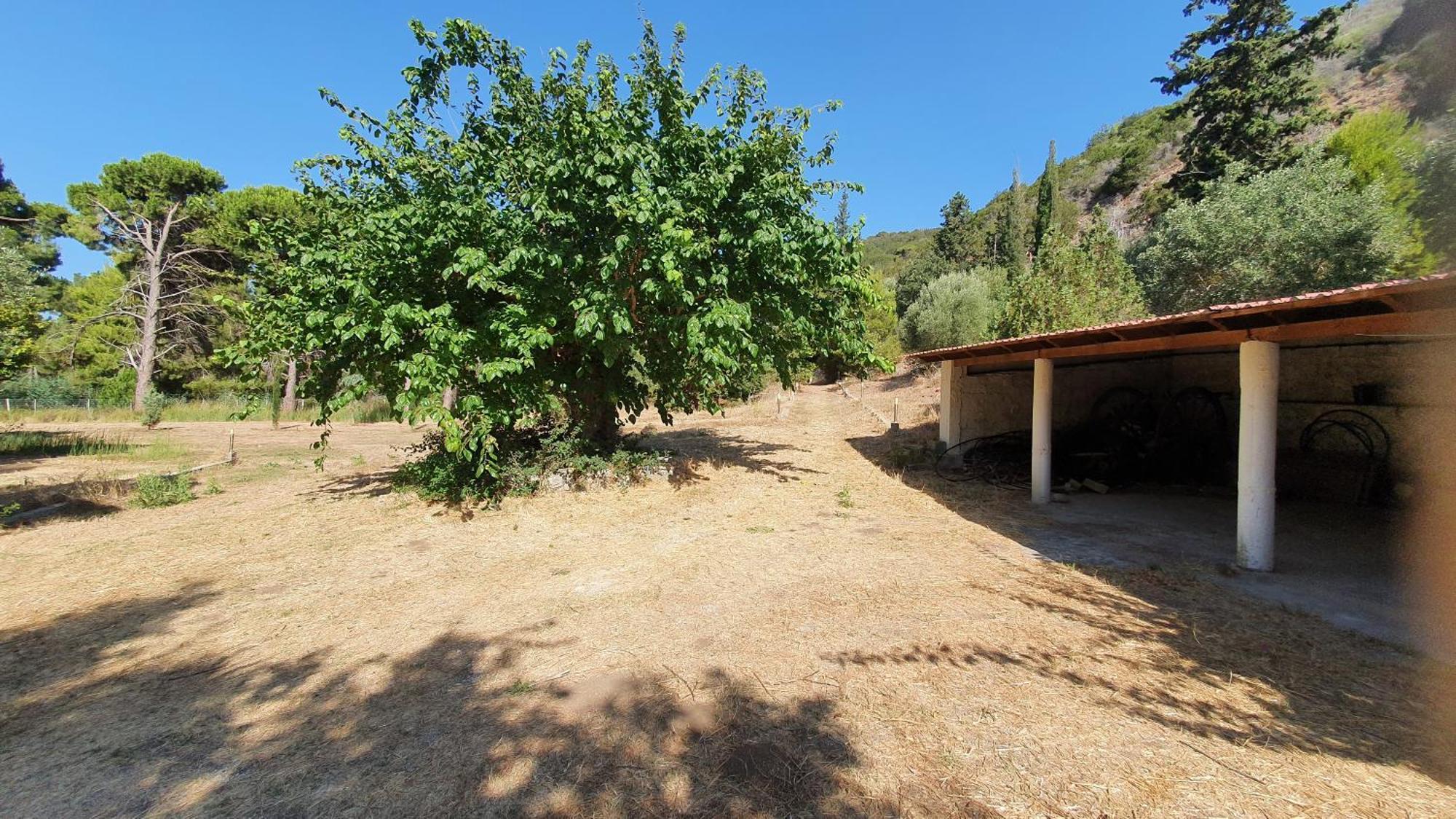 Villa Dunes 350M From The Sandy Beach Kalogria (Achaea) Exterior foto
